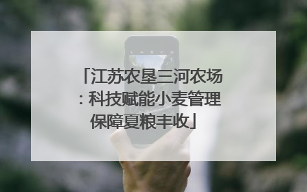 江苏农垦三河农场：科技赋能小麦管理保障夏粮丰收