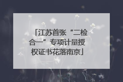 江苏首张“二检合一”专项计量授权证书花落南京
