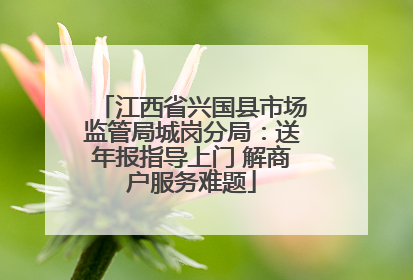 江西省兴国县市场监管局城岗分局：送年报指导上门 解商户服务难题