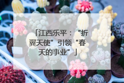 江西乐平：“折翼天使”引领“春天的事业”
