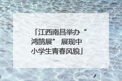 江西南昌举办“鸿鹄展” 展现中小学生青春风貌