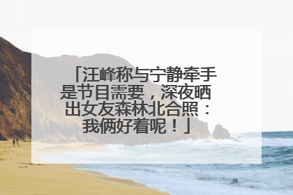 汪峰称与宁静牵手是节目需要，深夜晒出女友森林北合照：我俩好着呢！