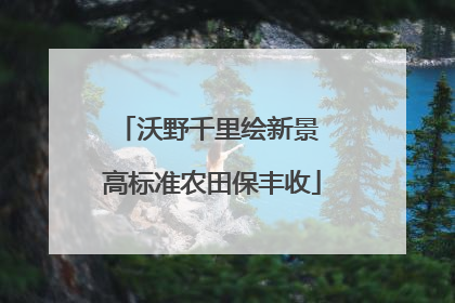沃野千里绘新景 高标准农田保丰收