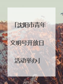 沈阳市青年文明号开放日活动举办