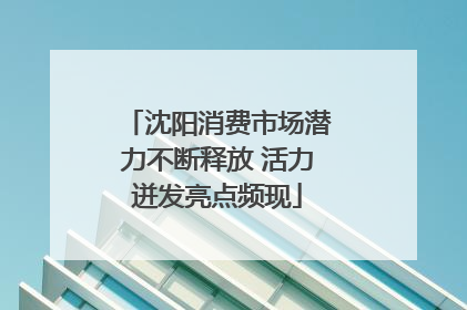 沈阳消费市场潜力不断释放 活力迸发亮点频现