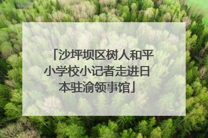沙坪坝区树人和平小学校小记者走进日本驻渝领事馆