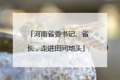河南省委书记、省长，走进田间地头
