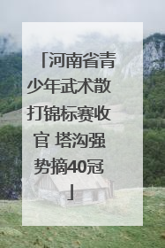 河南省青少年武术散打锦标赛收官 塔沟强势摘40冠