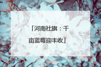 河南社旗：千亩蓝莓迎丰收