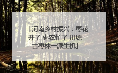 河南乡村振兴：枣花开了 枣农忙了 川塬古枣林一派生机