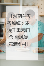 河南兰考考城镇：麦浪千重喜归仓 惠风暖意满乡村