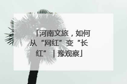河南文旅，如何从“网红”变“长红”｜豫观察