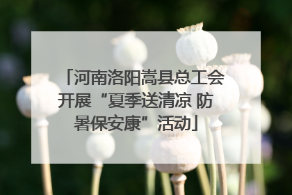 河南洛阳嵩县总工会开展“夏季送清凉 防暑保安康”活动