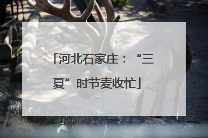 河北石家庄：“三夏”时节麦收忙