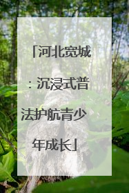 河北宽城：沉浸式普法护航青少年成长