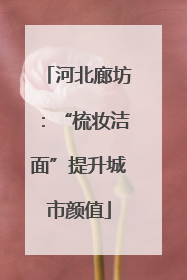 河北廊坊：“梳妆洁面”提升城市颜值