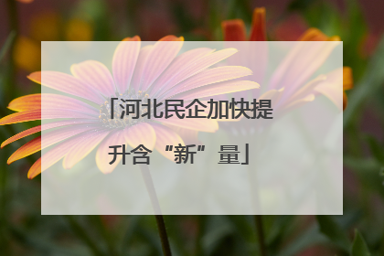 河北民企加快提升含“新”量