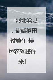 河北沧县：盐碱稻田过端午 特色农旅迎客来
