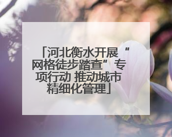 河北衡水开展“网格徒步踏查”专项行动 推动城市精细化管理