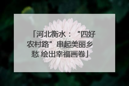 河北衡水：“四好农村路”串起美丽乡愁 绘出幸福画卷
