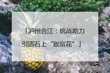 泸州合江：统战助力引活石上“致富花”
