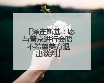 泽连斯基：愿与普京进行会晤 不希望美方退出谈判