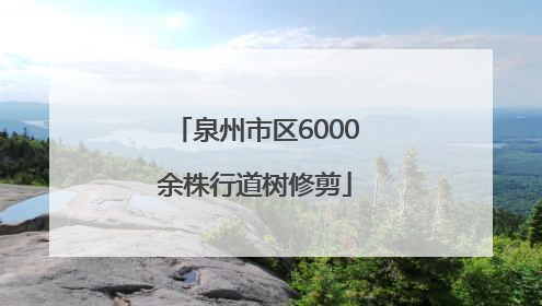 泉州市区6000余株行道树修剪