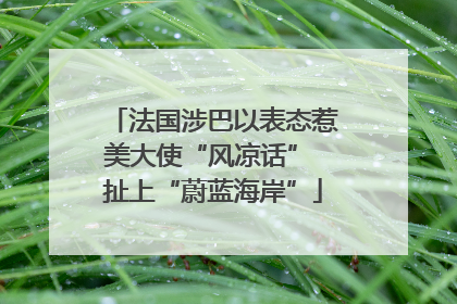 法国涉巴以表态惹美大使“风凉话” 扯上“蔚蓝海岸”