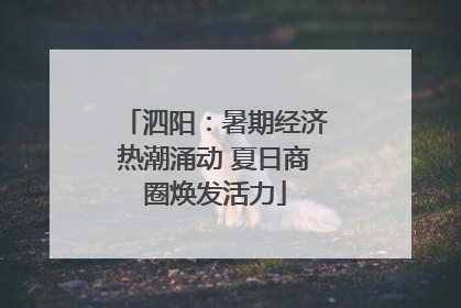 泗阳：暑期经济热潮涌动 夏日商圈焕发活力
