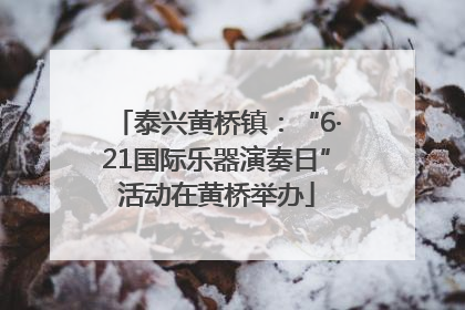 泰兴黄桥镇：“6·21国际乐器演奏日”活动在黄桥举办