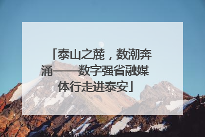 泰山之麓，数潮奔涌——数字强省融媒体行走进泰安