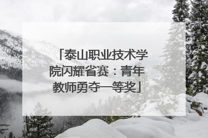 泰山职业技术学院闪耀省赛：青年教师勇夺一等奖