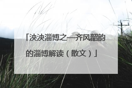 泱泱淄博之—齐风韶韵的淄博解读（散文）