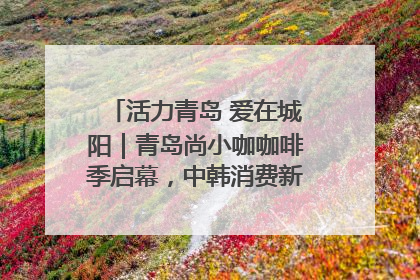 活力青岛 爱在城阳｜青岛尚小咖咖啡季启幕，中韩消费新场景点燃夏日热情
