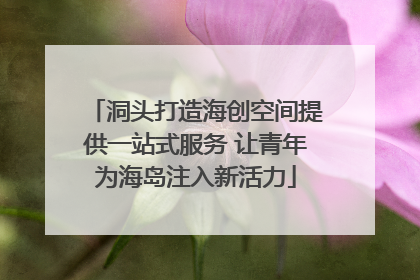洞头打造海创空间提供一站式服务 让青年为海岛注入新活力