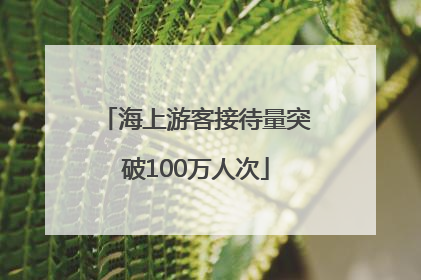 海上游客接待量突破100万人次
