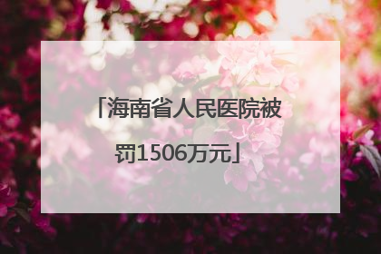 海南省人民医院被罚1506万元