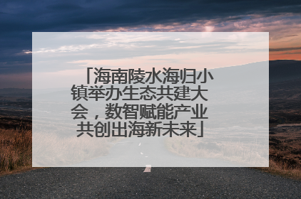 海南陵水海归小镇举办生态共建大会，数智赋能产业共创出海新未来