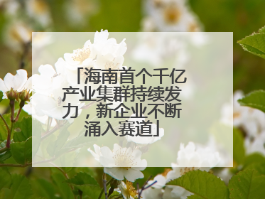 海南首个千亿产业集群持续发力，新企业不断涌入赛道