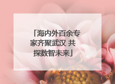 海内外百余专家齐聚武汉 共探数智未来