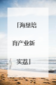 海垦培育产业新实荔