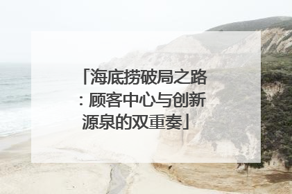 海底捞破局之路：顾客中心与创新源泉的双重奏