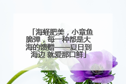 海蛏肥美，小章鱼脆弹，每一种都是大海的馈赠——夏日到海边 就爱那口鲜