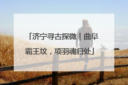 济宁寻古探微｜曲阜霸王坟，项羽魂归处