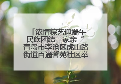 浓情粽艺迎端午 民族团结一家亲“ 青岛市李沧区虎山路街道百通馨苑社区举办“我们的节日·端午“主题活动