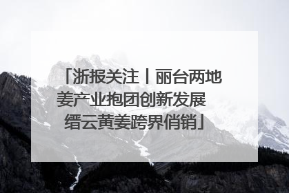 浙报关注丨丽台两地姜产业抱团创新发展 缙云黄姜跨界俏销
