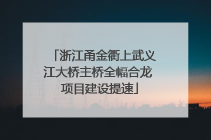 浙江甬金衢上武义江大桥主桥全幅合龙 项目建设提速