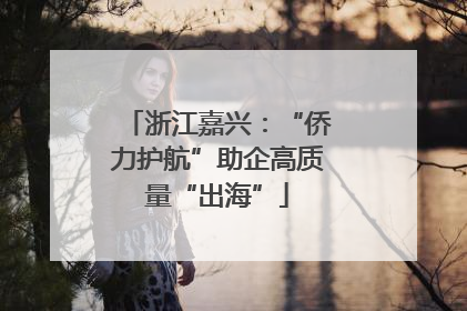 浙江嘉兴：“侨力护航”助企高质量“出海”