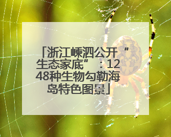 浙江嵊泗公开“生态家底”：1248种生物勾勒海岛特色图景