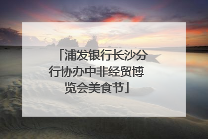 浦发银行长沙分行协办中非经贸博览会美食节